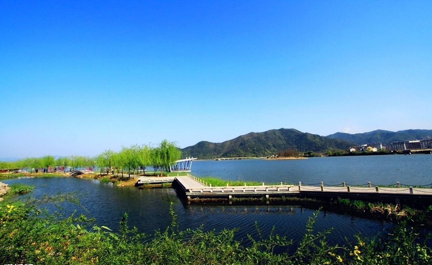 首届"S萌哒"公益跑
