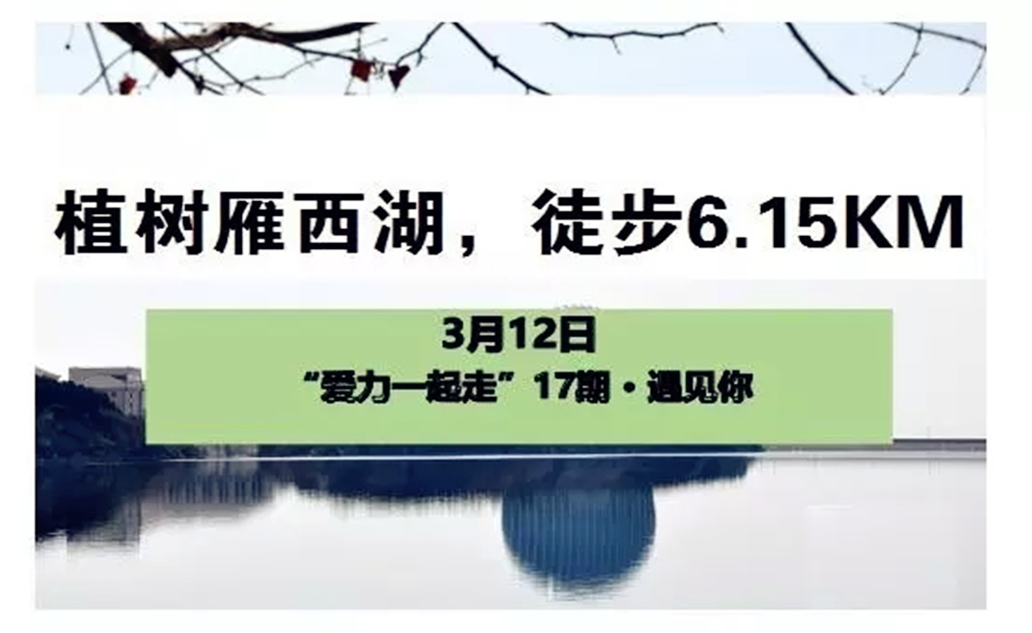 "爱力一起走"17期·植树雁栖湖