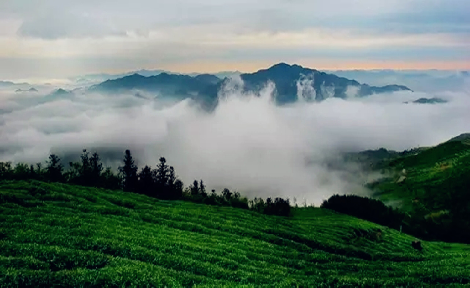 中国“霞客首游地”(天台泳溪)首届山地徒步大赛