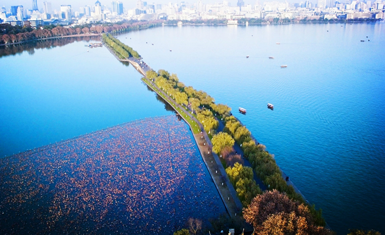海洋天堂BLUE RUN爱心公益跑