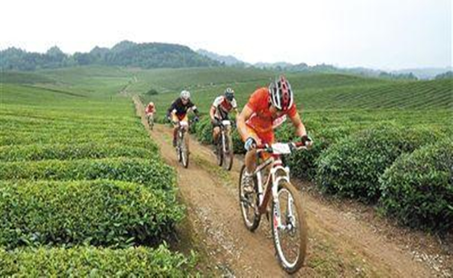 2017年遵义·中国茶海山地自行车赛