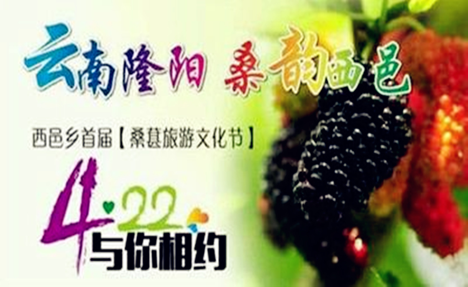 云南.保山.西邑乡首届桑葚旅游文化节