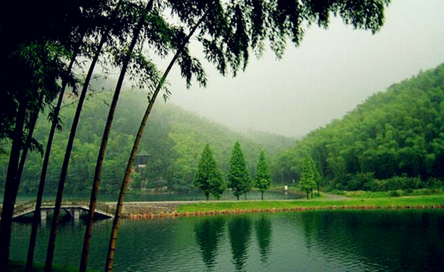 游宜兴竹海，道诗意情怀