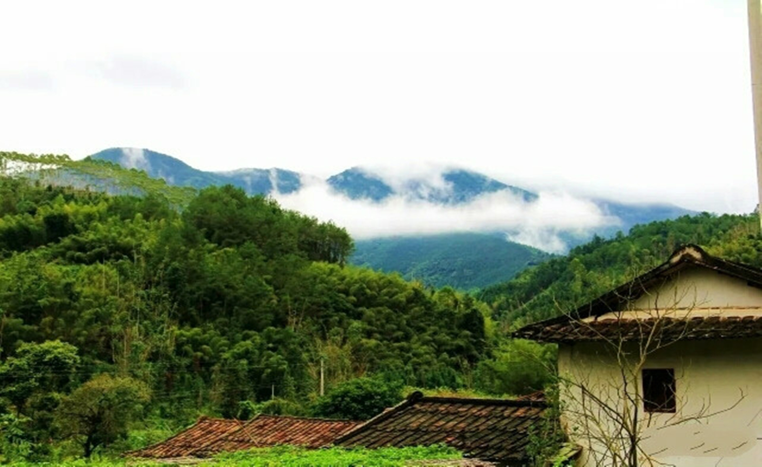 九且山庄乡村越野跑