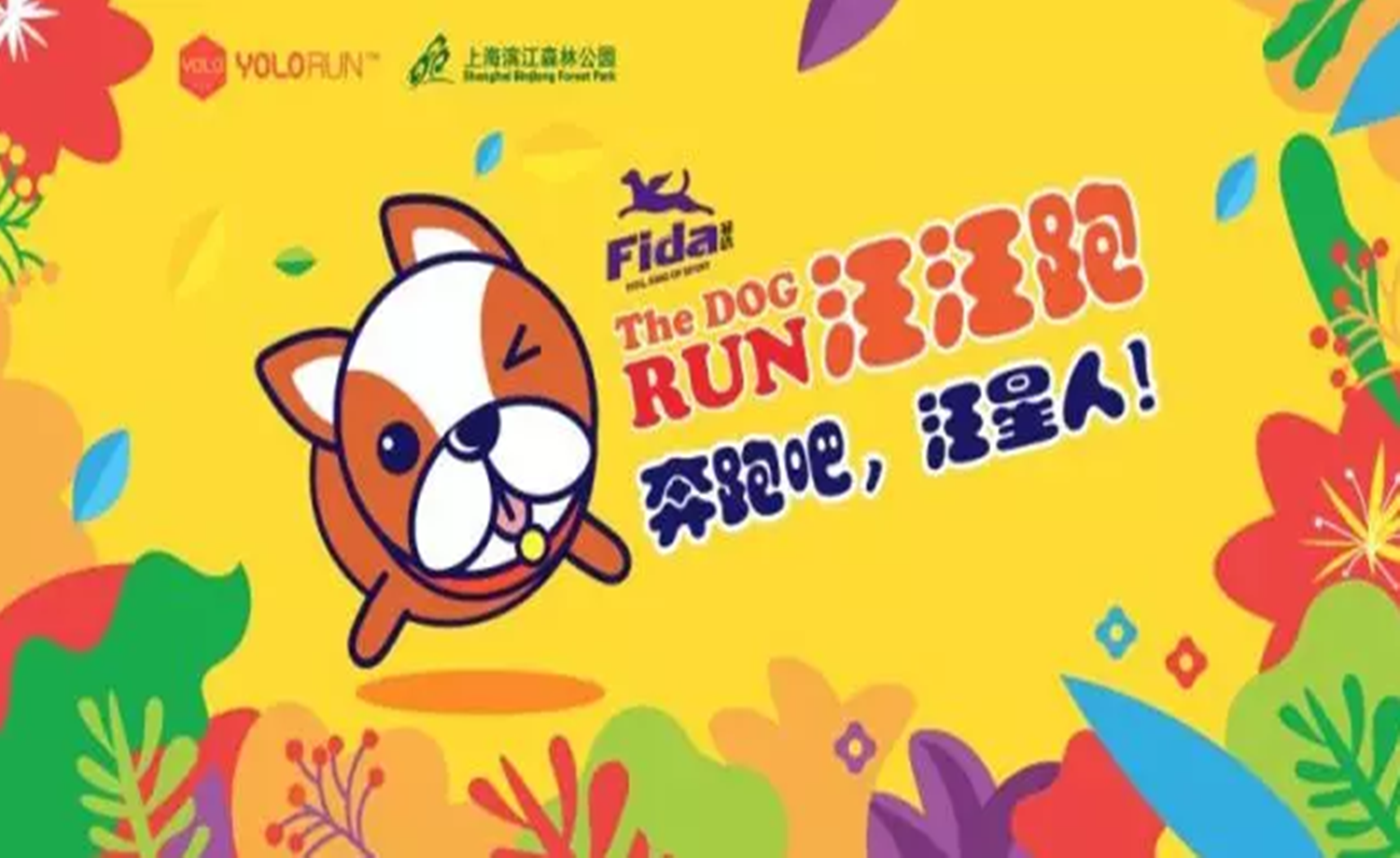 菲达THE DOG RUN汪汪跑
