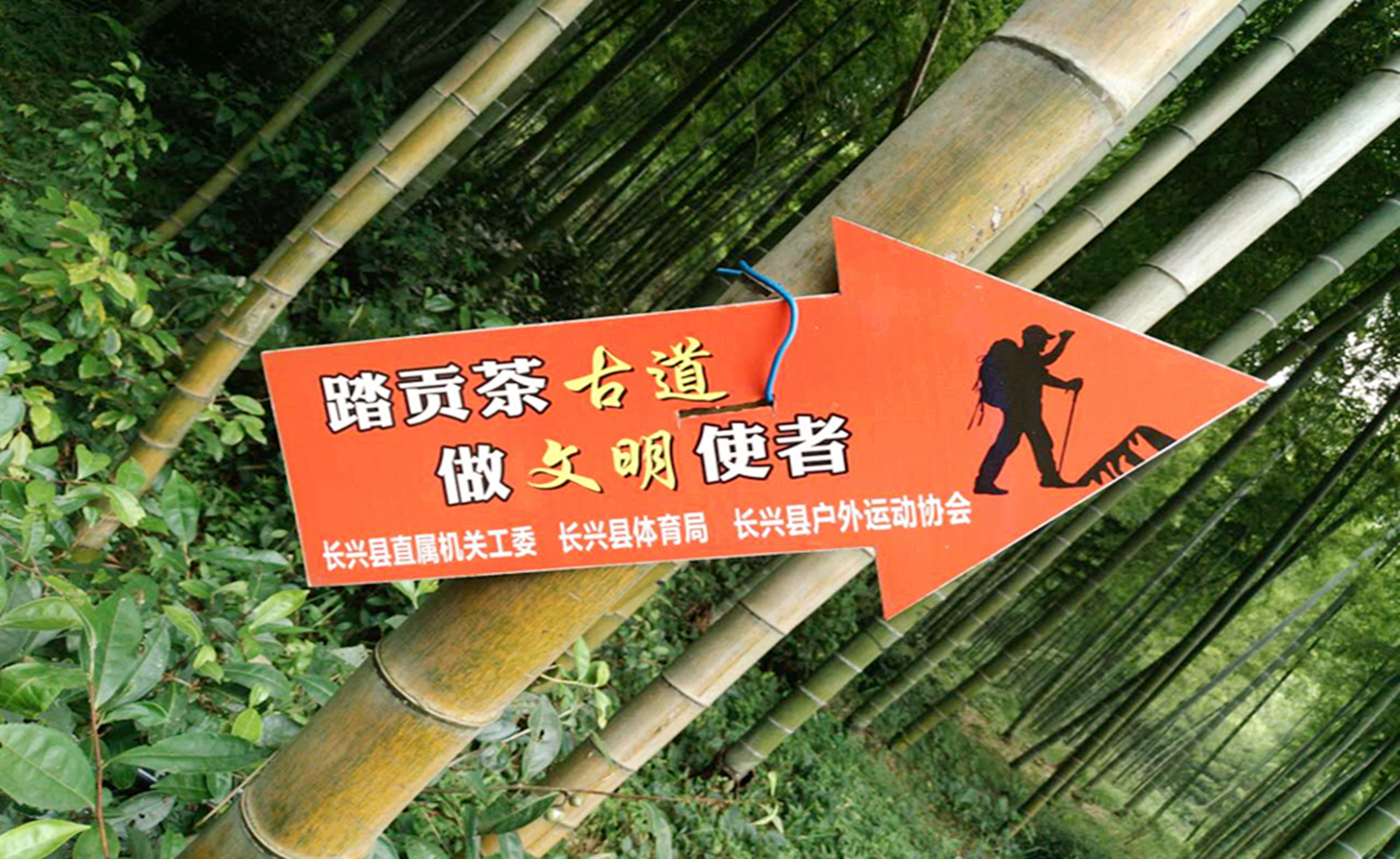 山步户外亲子野外捕鱼抓虾，溯溪徒步活动召集