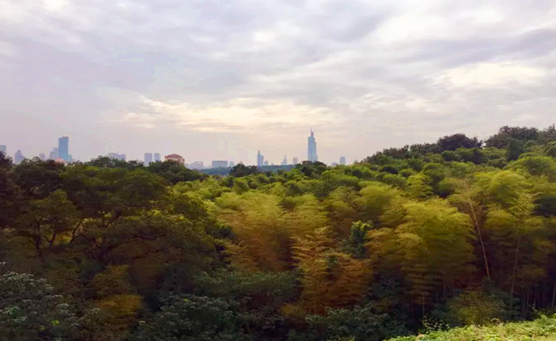 那就无所谓的去野吧 | Salomon城市越野跑南京站