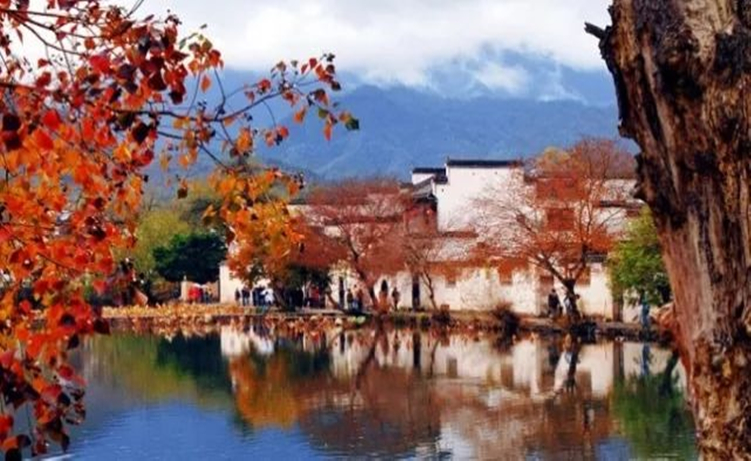 自驾宏村画中游，塔川秋意浓