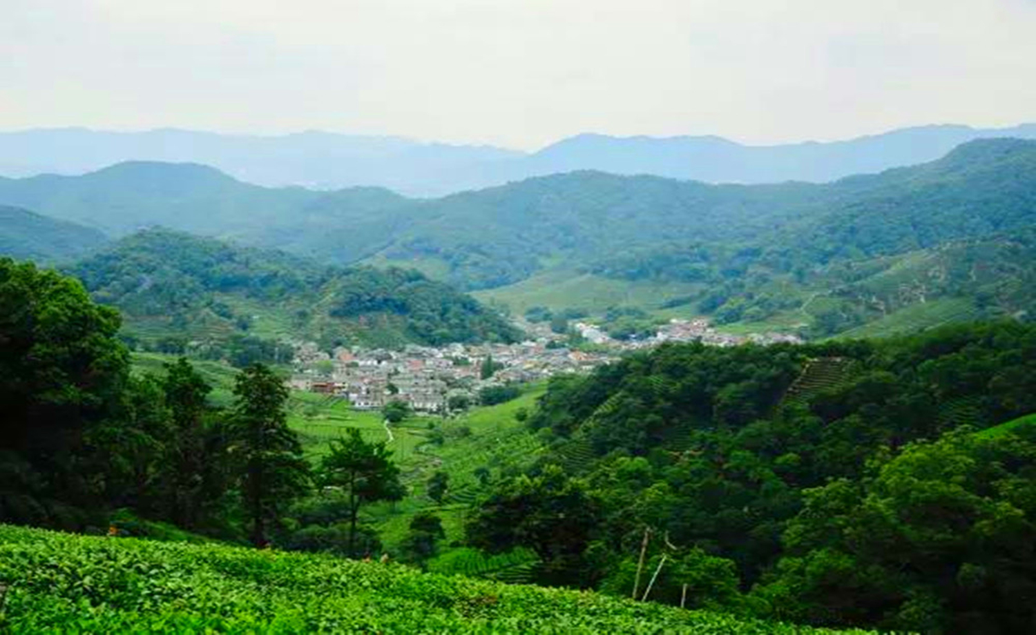 11.12 徒步十里琅珰 赏九溪十八涧最美秋色，寻古龙井，穿茶园