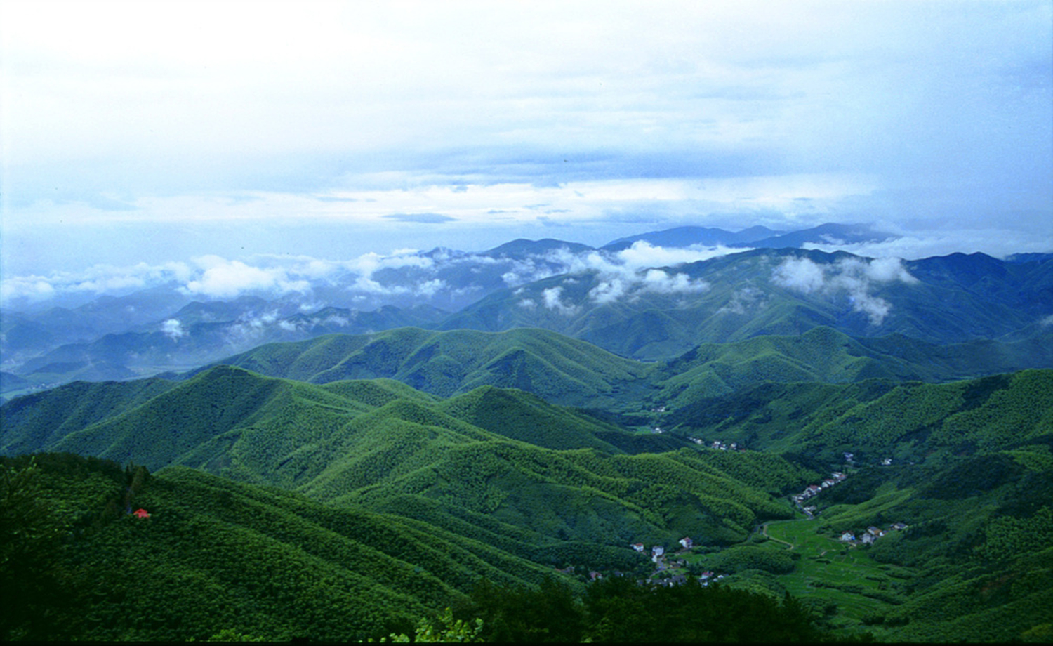 12.23 古道人文：徒步穿越国家级登山步道：莫干山