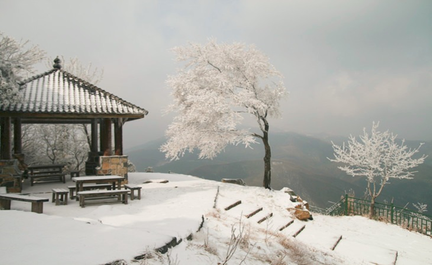 冬季徒步莫干山，走蒋公道，看大竹海（1天）
