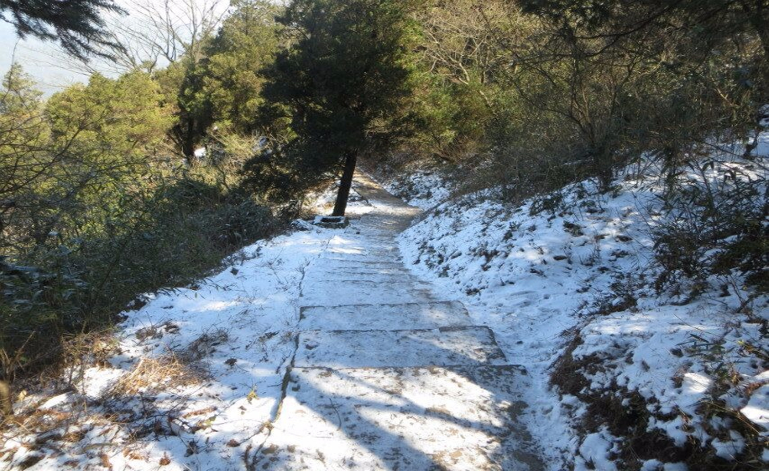 登莫干山庆元旦，徒步蒋会道，赏冬日美景