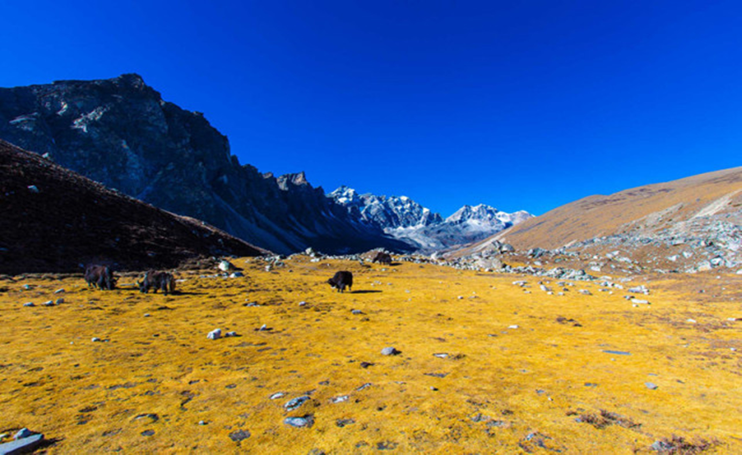 探访世界之巅，尼泊尔EBC 世界顶级徒步圆梦之旅