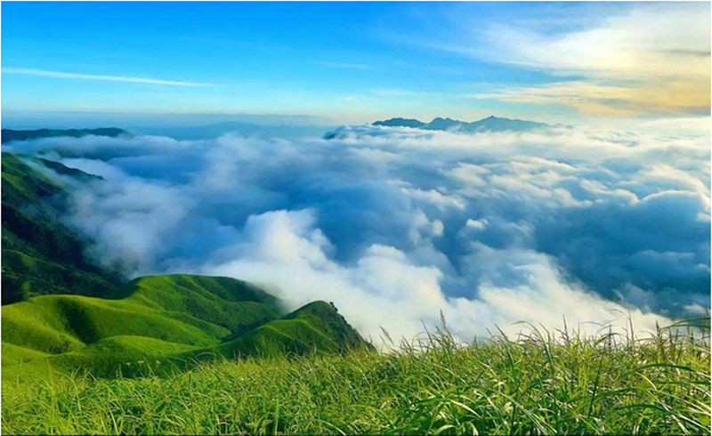 火车团 相约绿色武功山 观星空云海,赏日出草甸 徒步两日游!