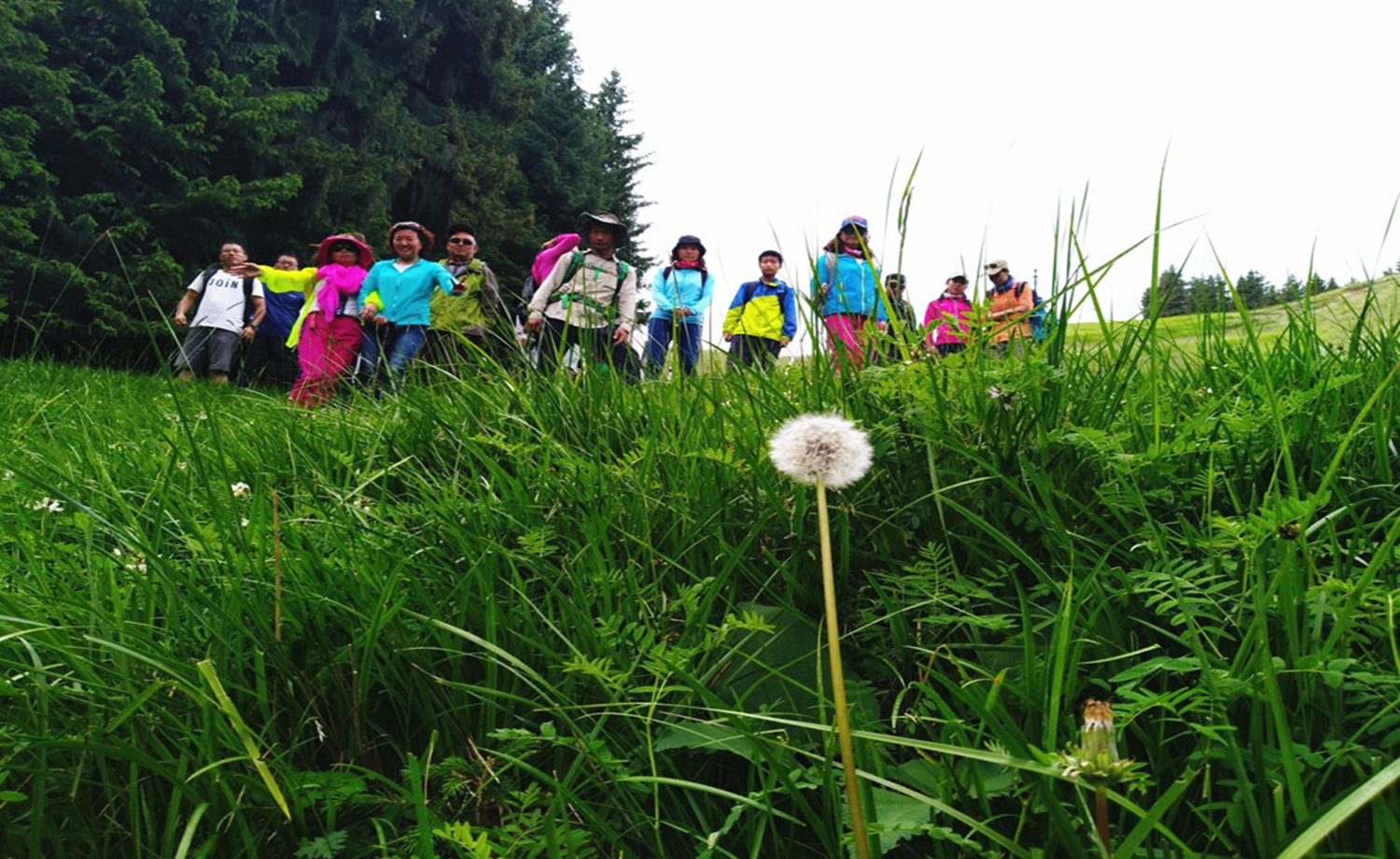 马鹿草场一日登山徒步