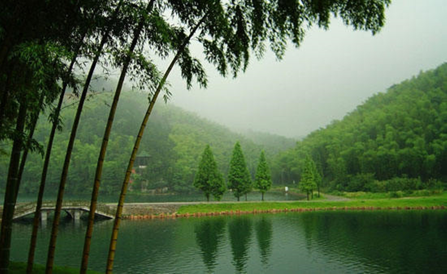 游宜兴竹海，道诗意情怀