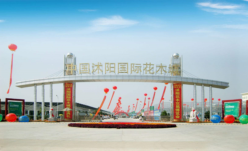 2017 第五届中国沭阳花木节跑骑跑挑战赛