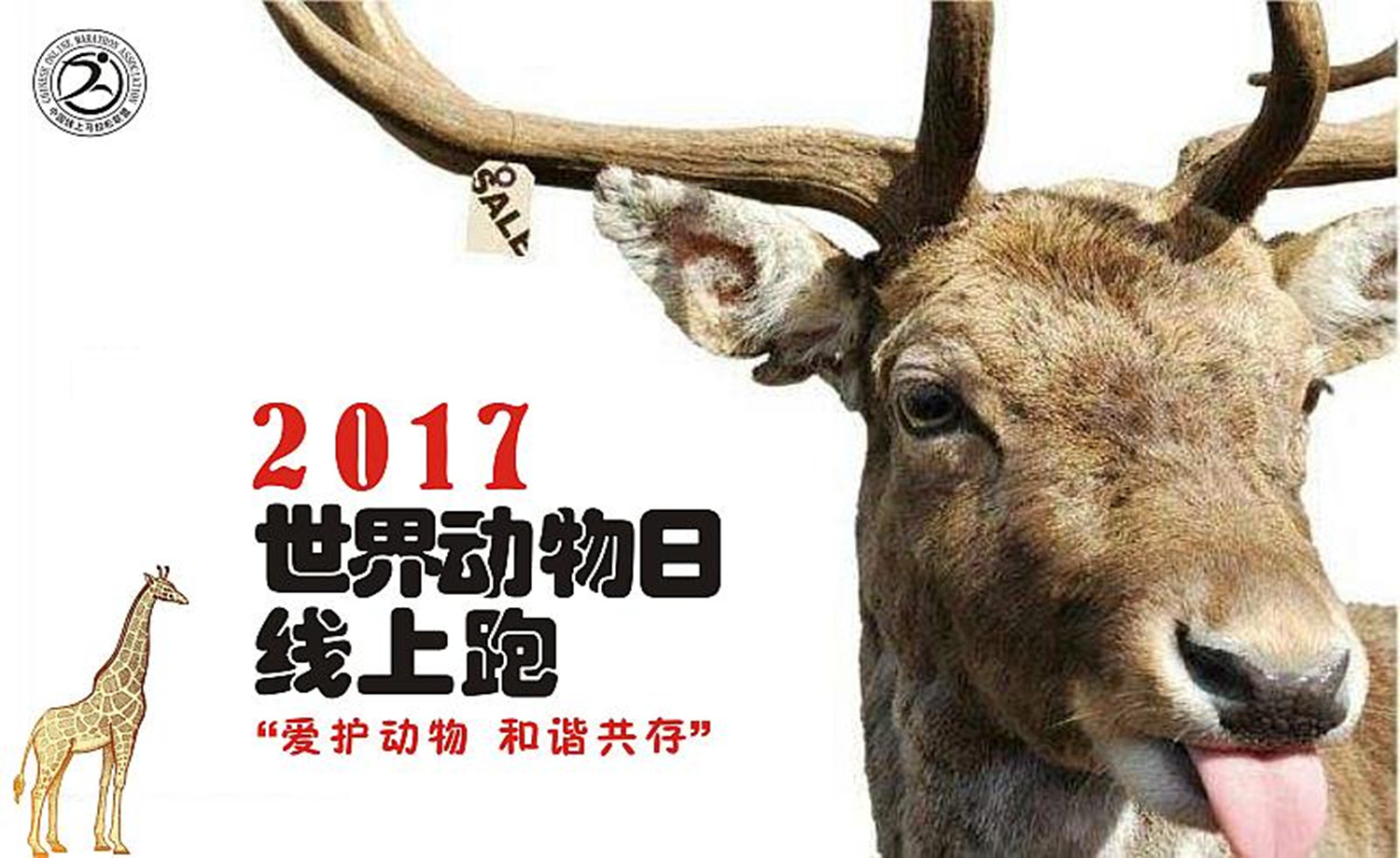 2017 世界动物日线上跑