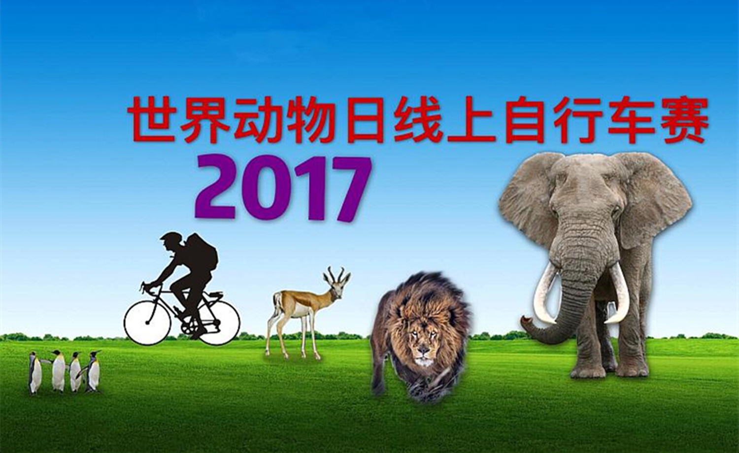 2017 世界动物日线上自行车赛
