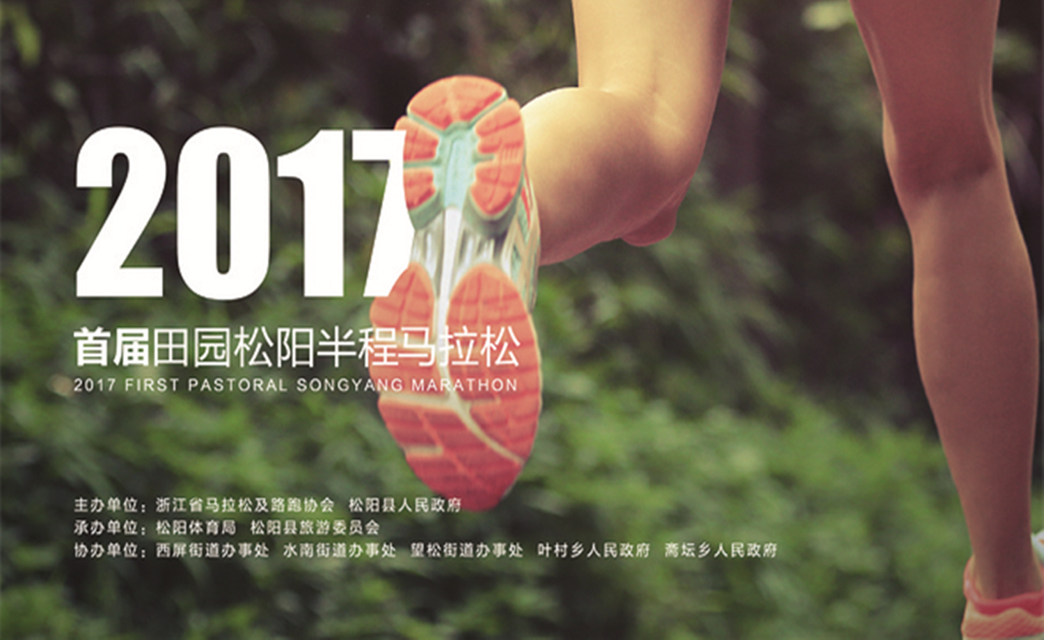 2017 中国·田园松阳半程马拉松