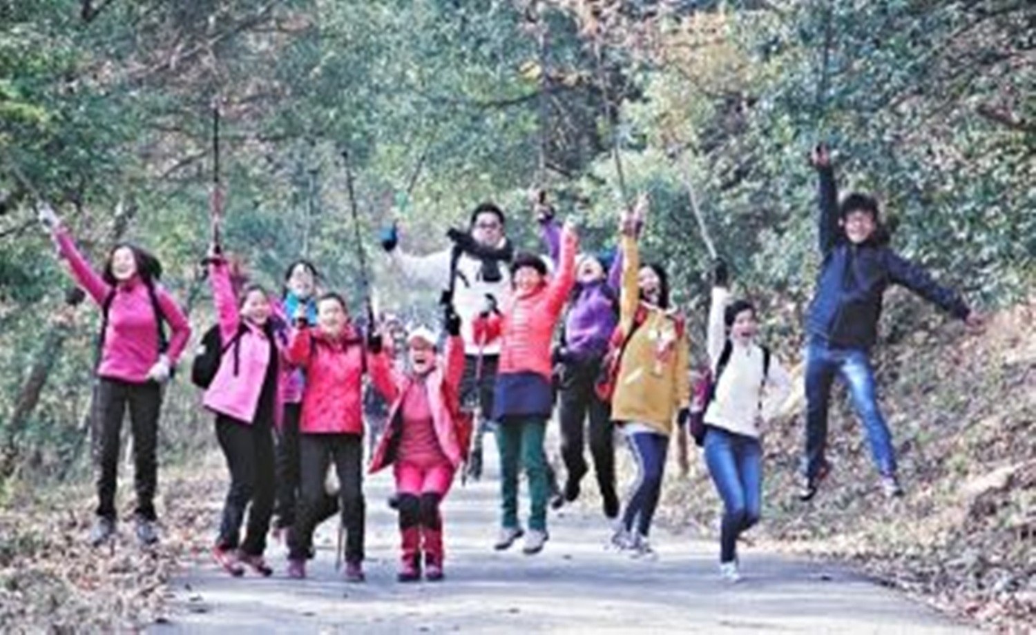 （国庆专线）感受山林冬景穿越军嶂古道丛林
