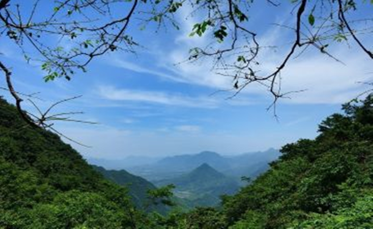 （国庆专线）浙江十大古道之上青古道一日徒步活动
