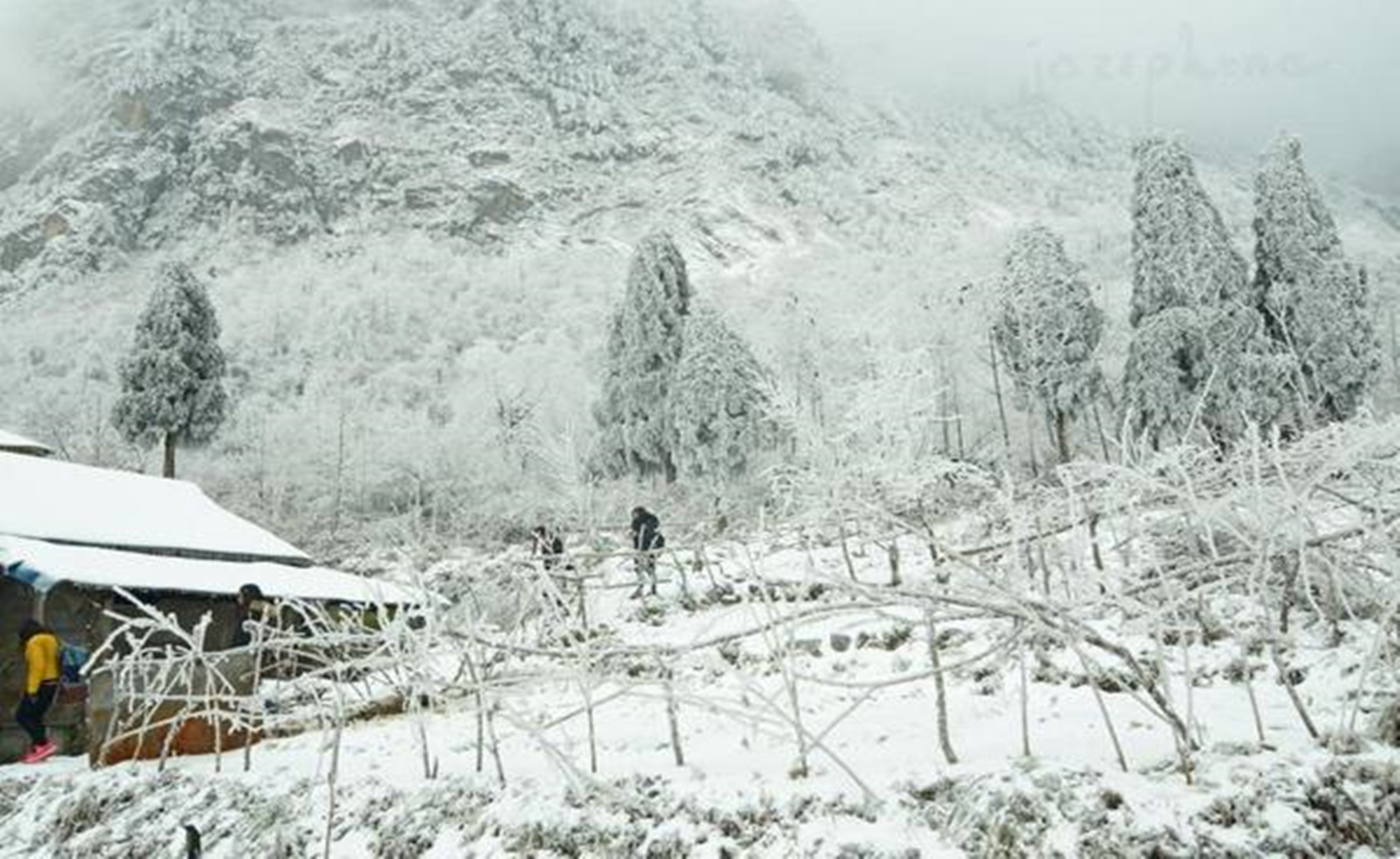 徒步冰雪世界 九峰山（1日行程）
