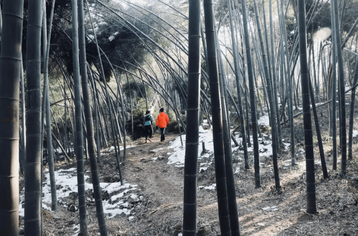 Registration | Salomon城市越野跑南京站