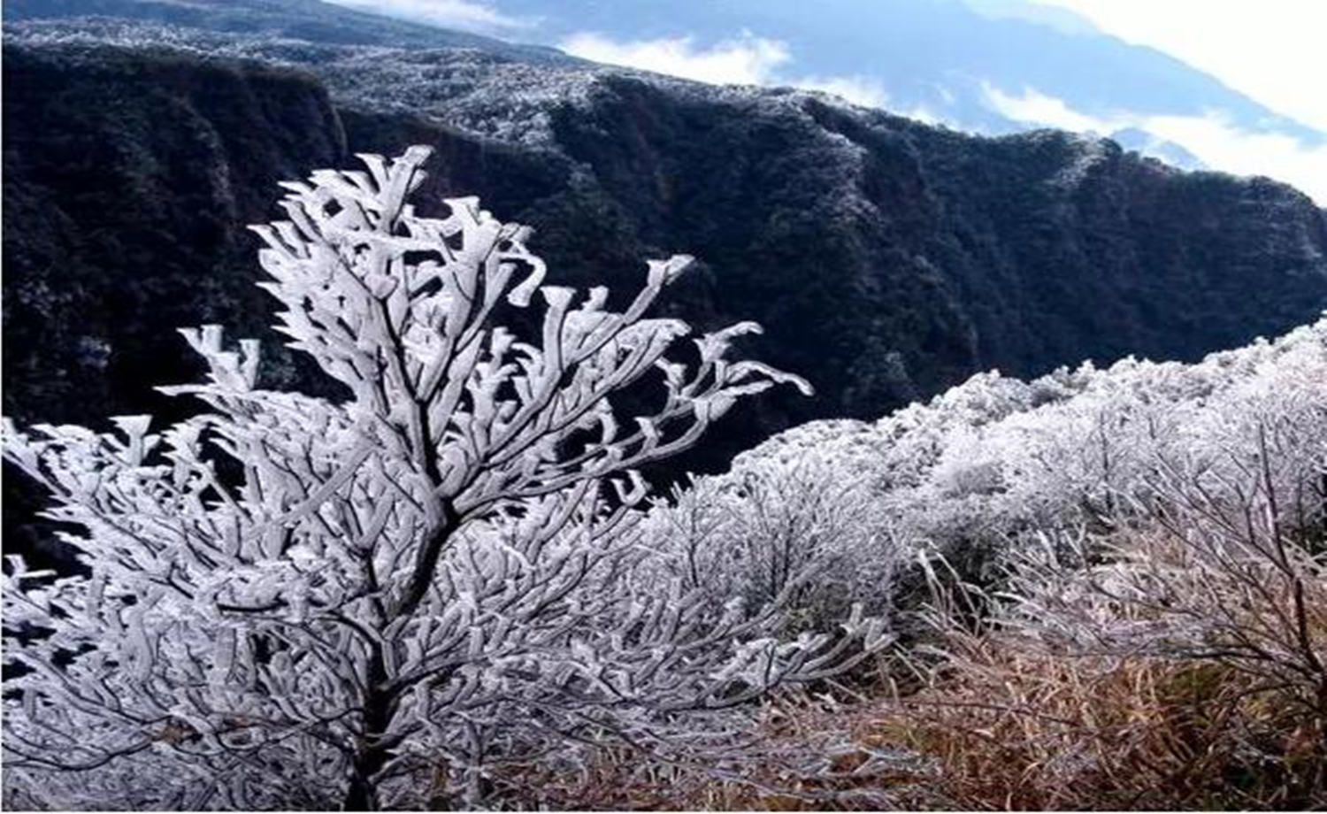 周日 冰凌世界大明山 后山野线穿越（1日行程）