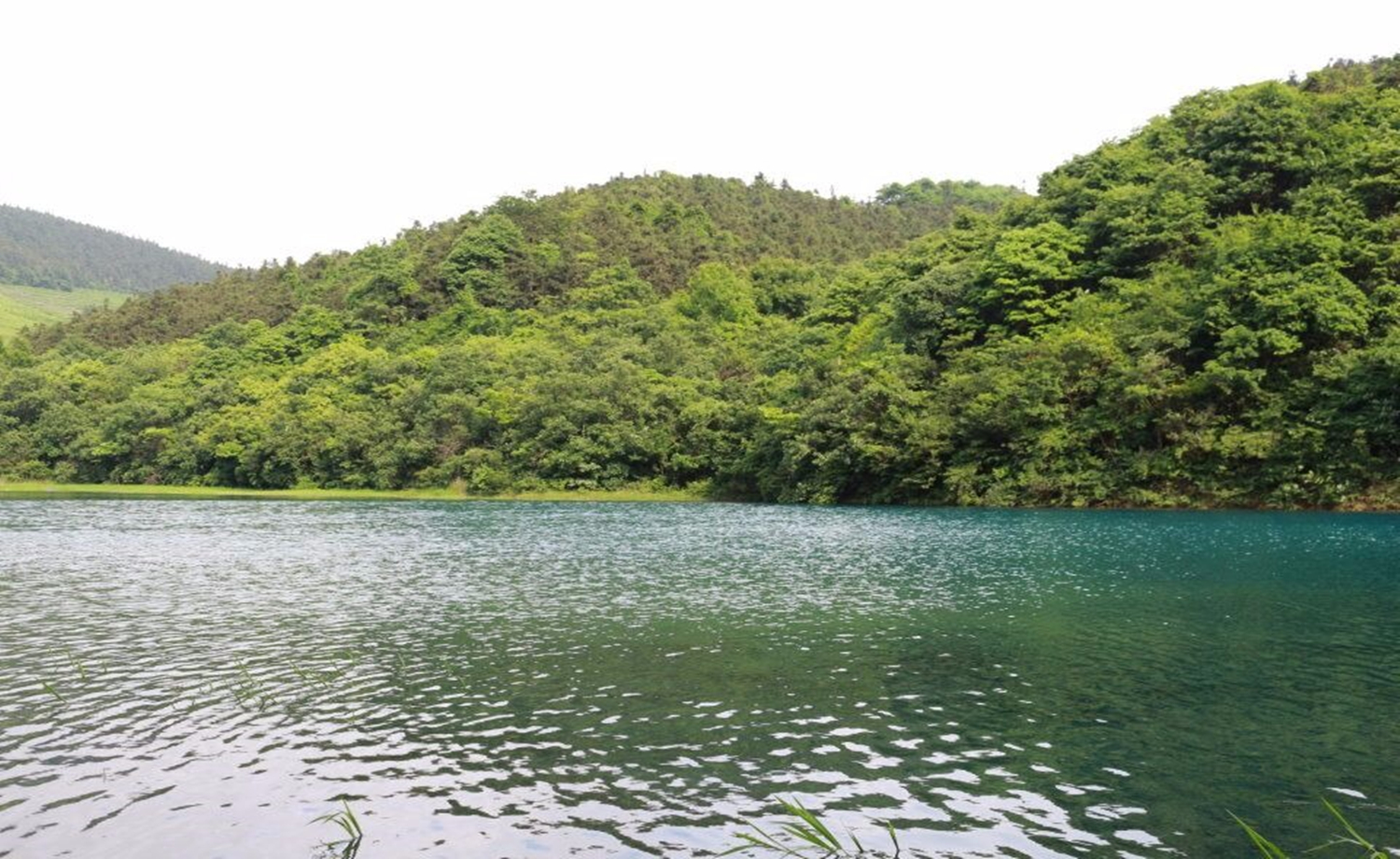 宁波绝美古道，探访甬上最美大嵩岭