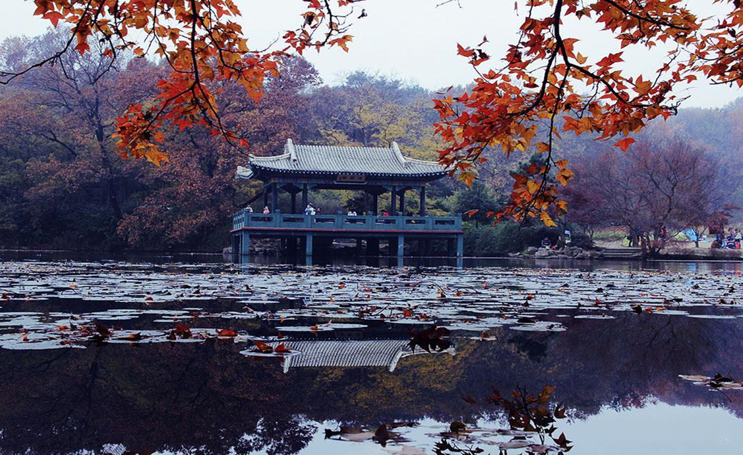 Registration | Salomon城市越野跑南京站「三月」