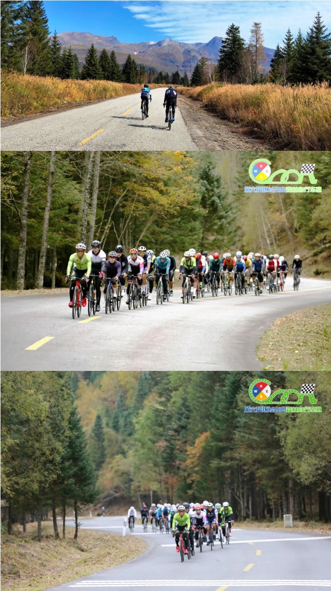 微信截图_20240815101000.png