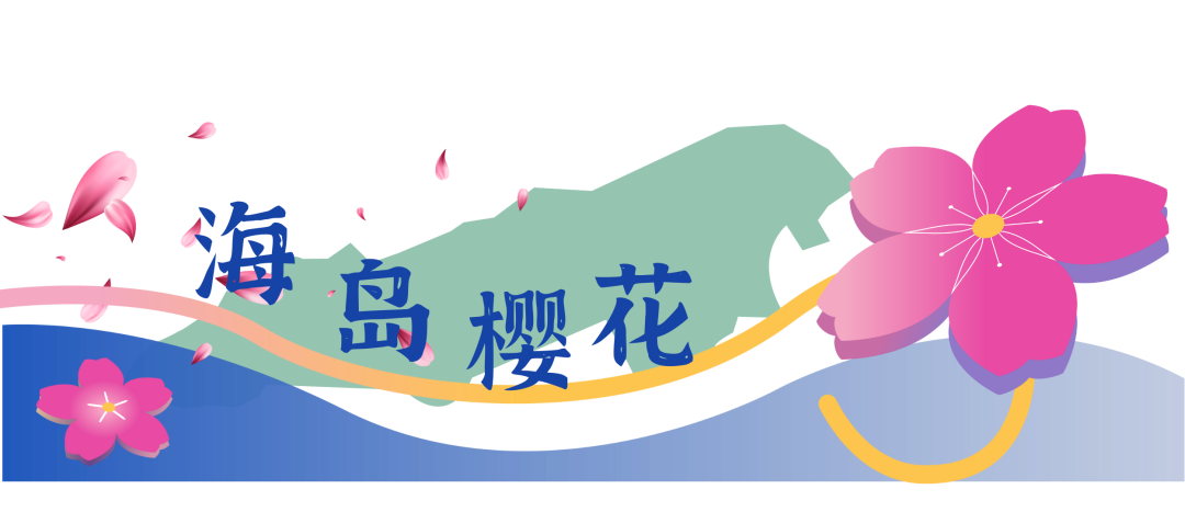 17.png