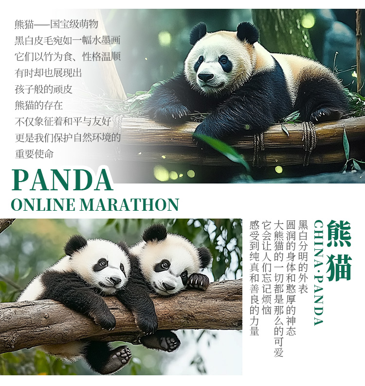 详情_02.jpg