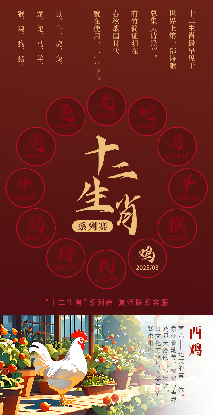 详情_02.jpg