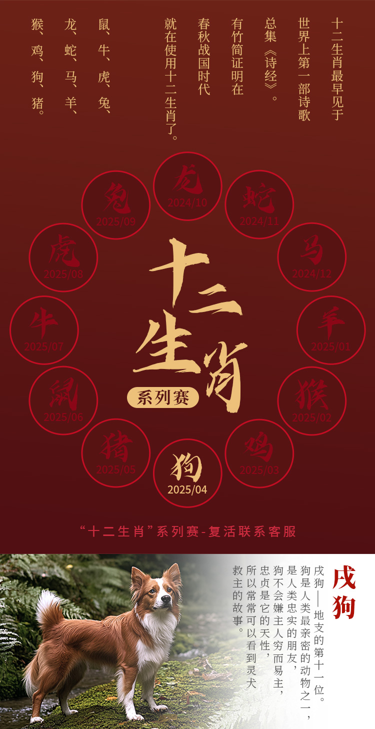 详情_02.jpg
