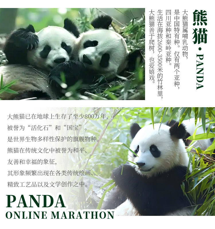 详情_02.jpg