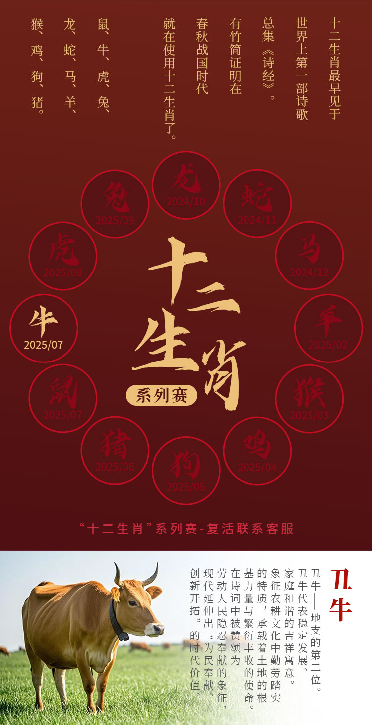 详情_02.jpg