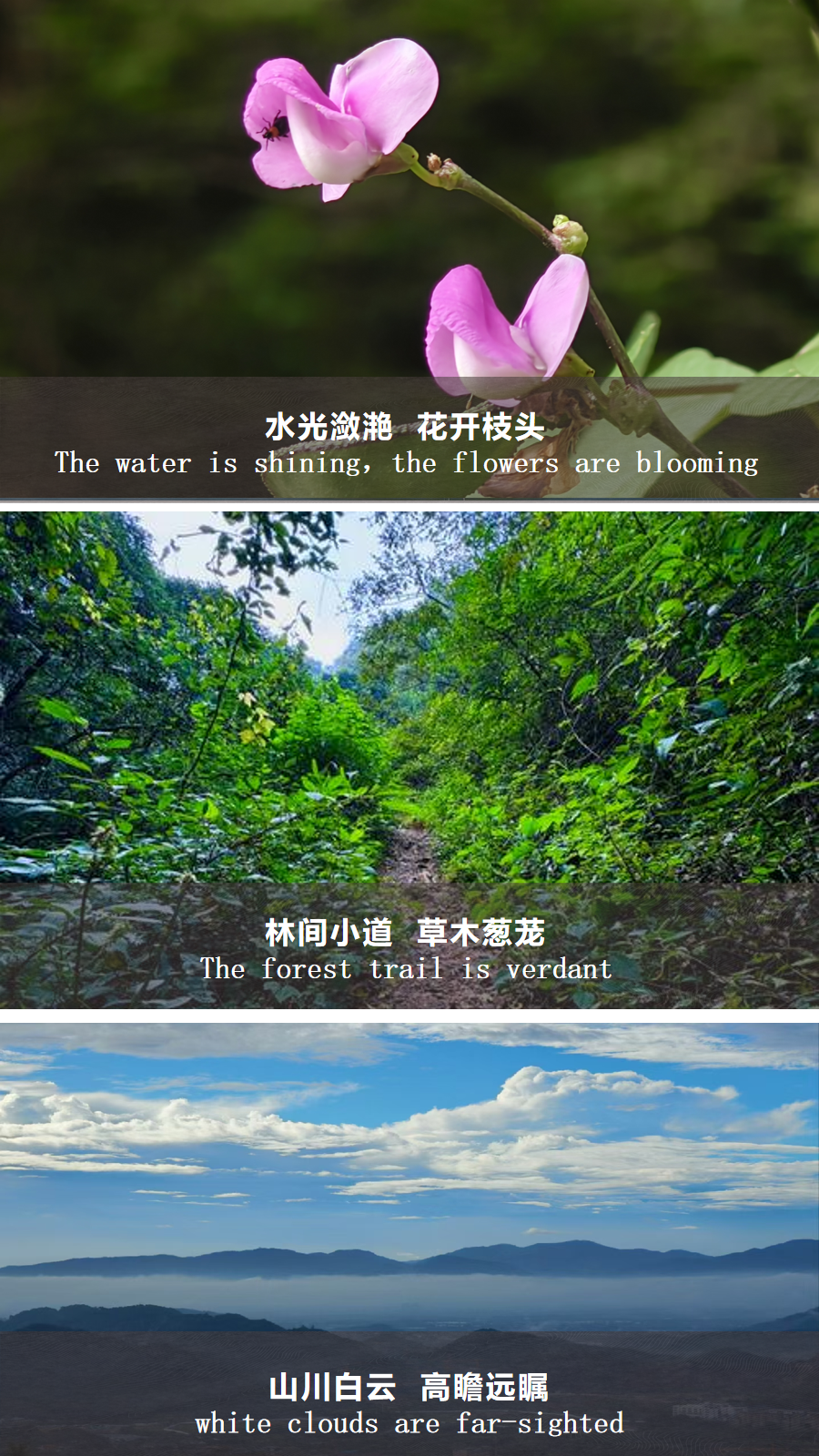 幻灯片15.png