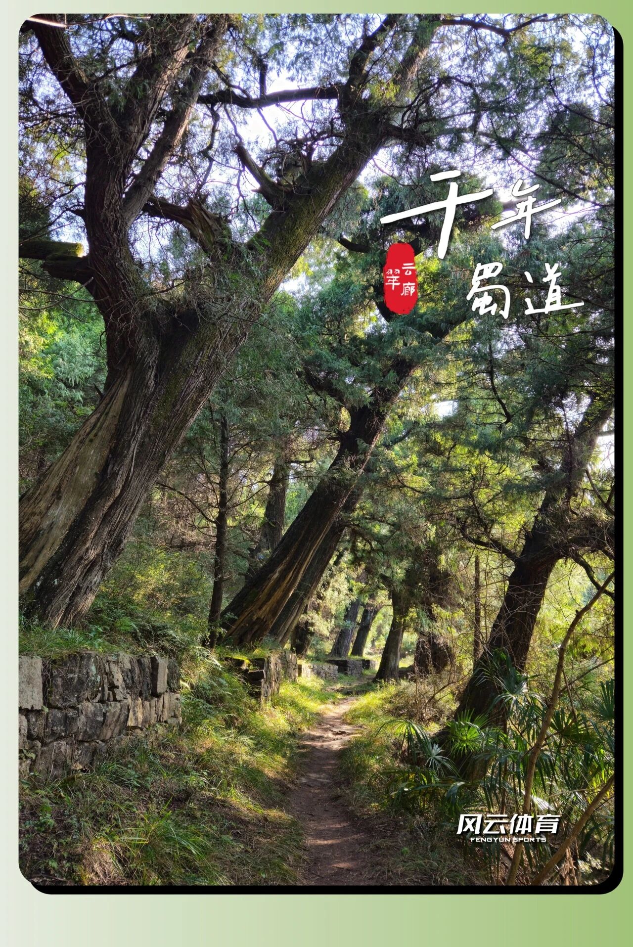 微信图片_2026-10-20_100316_384.jpg
