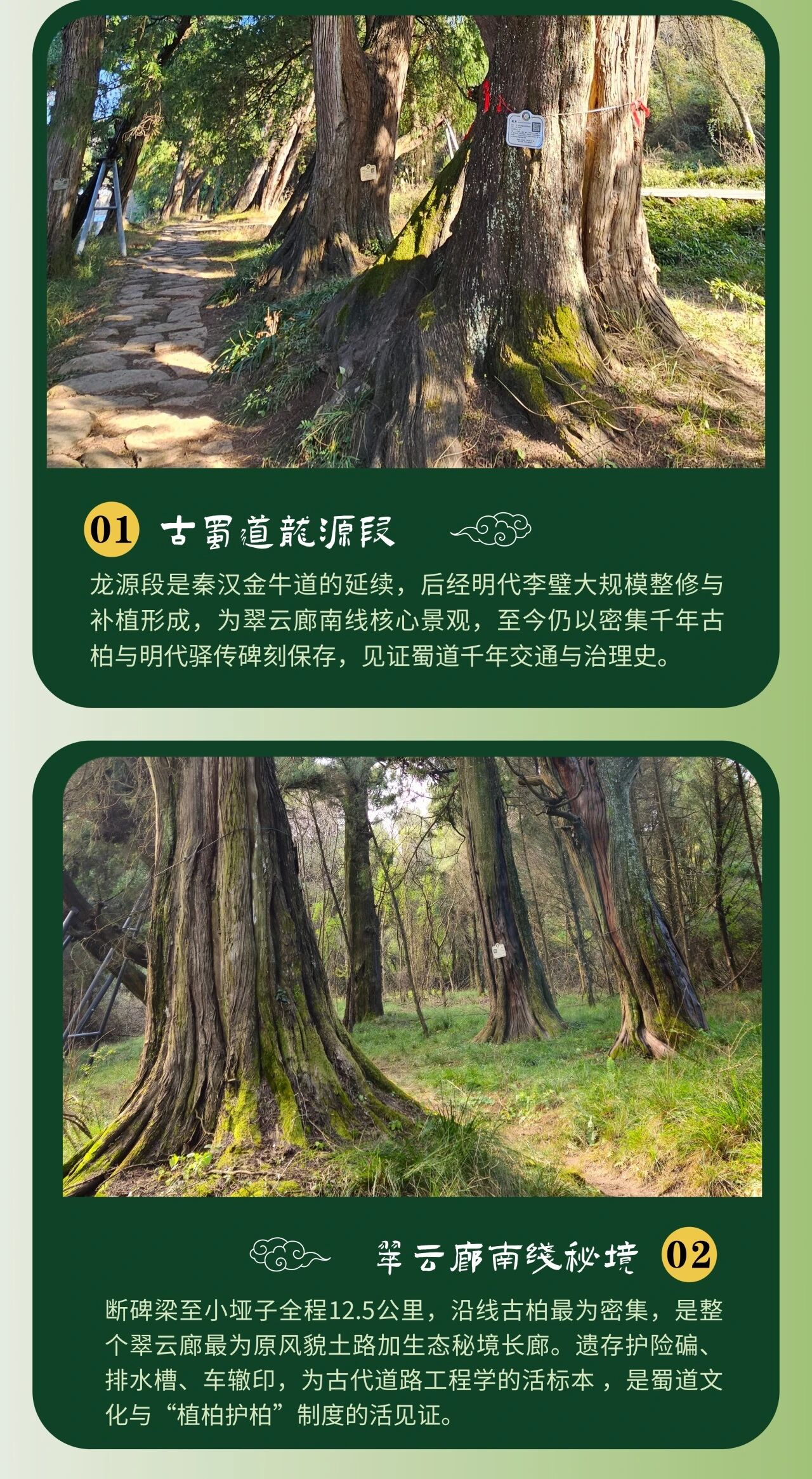 微信图片_2026-10-20_100322_064.jpg