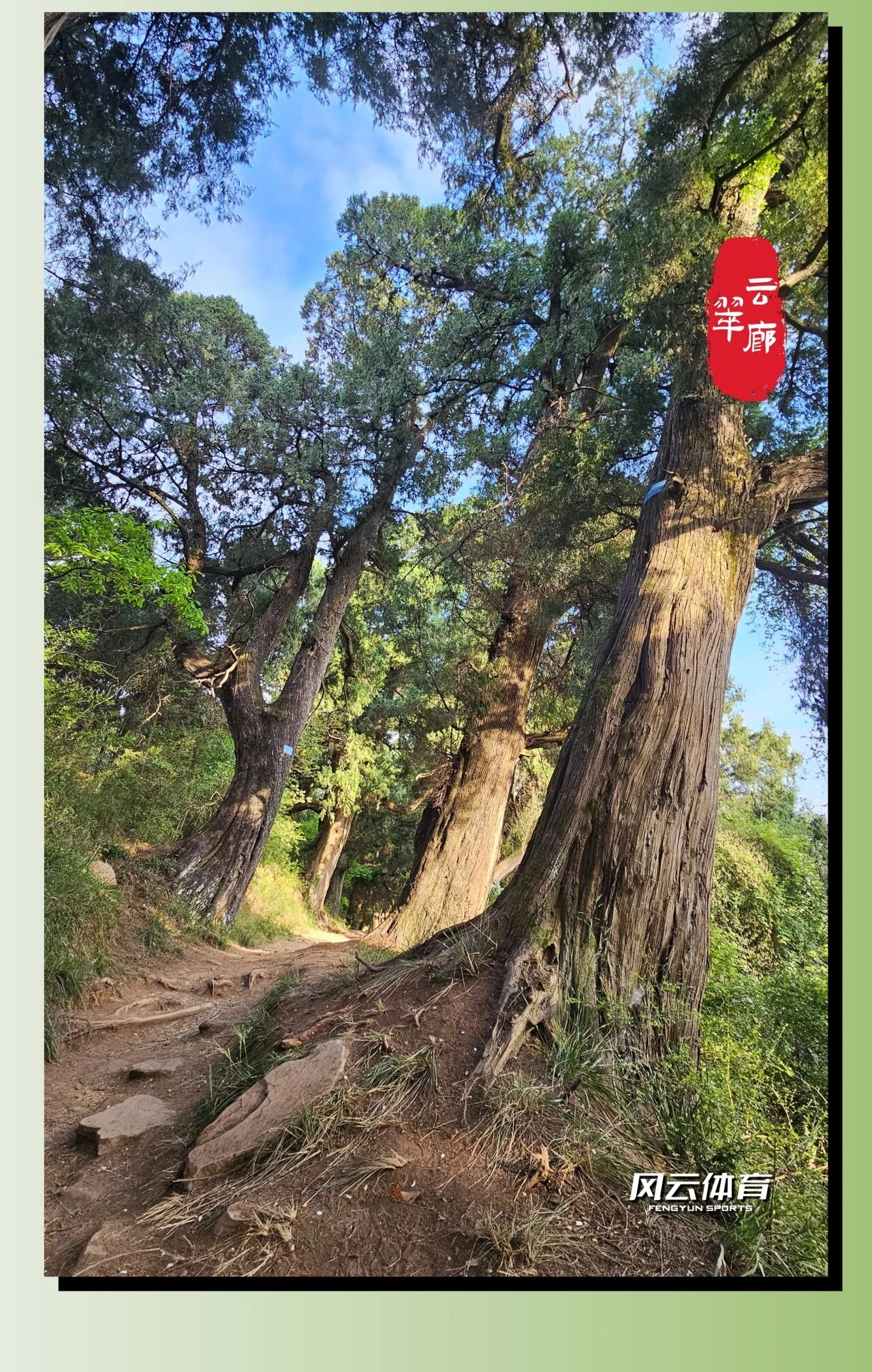 微信图片_2026-10-20_100340_645.jpg